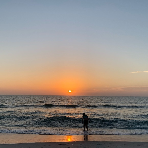 Meet your Posher, Reese - Picture 1 of 1